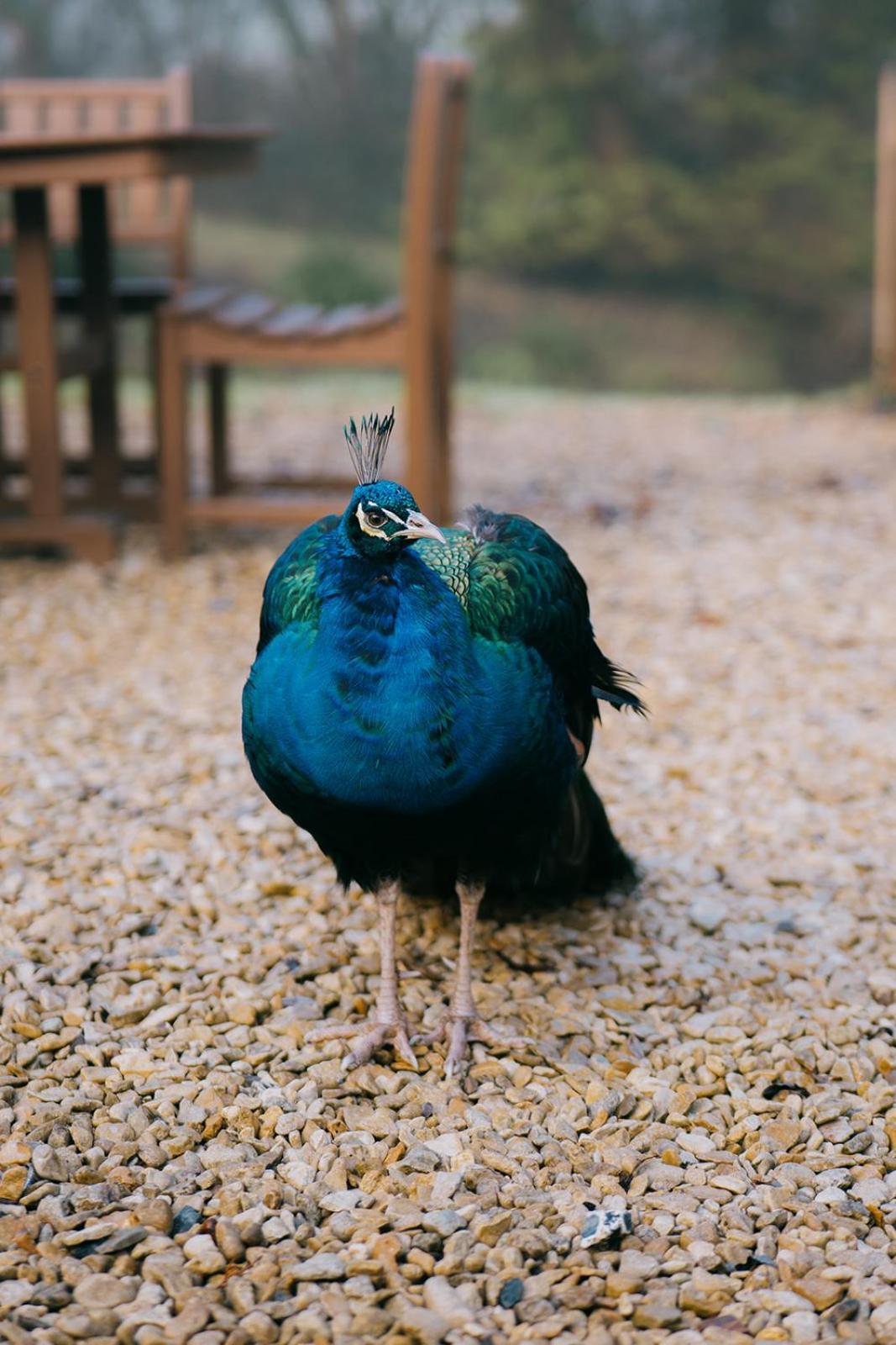 ホテル Hornsbury Mill チャード エクステリア 写真